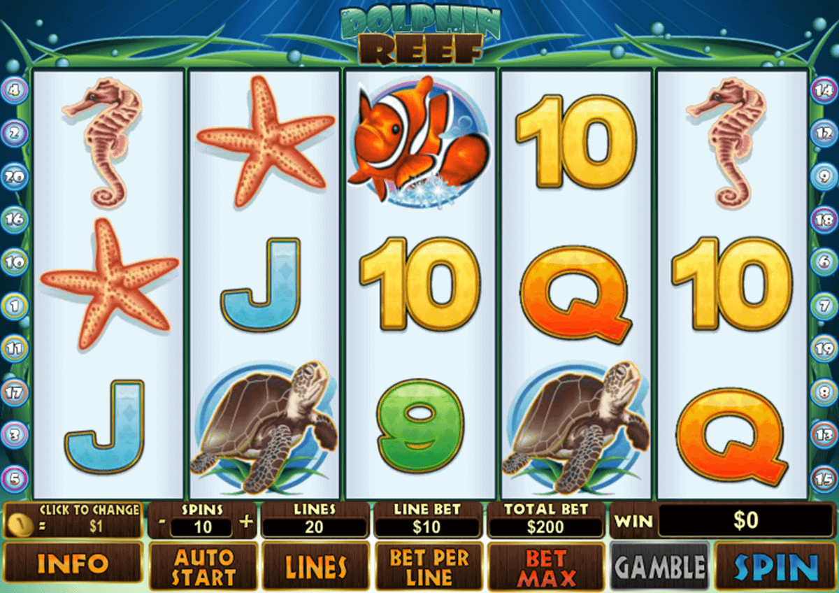 https://ufabet-vip.com/play8/dolphin-reef/