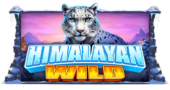 Himalayan Wild pragmaticplay ufabet36 vip