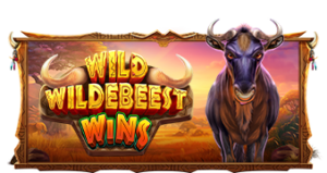 Wild Wildebeest Wins pragmaticplay ufabet36 vip