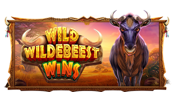 Wild Wildebeest Wins pragmaticplay ufabet36 vip